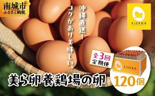卵の黄身が掴めるほどの新鮮さ 美ら卵養鶏場の卵 120個【3ヶ月定期便】沖縄県南城市55000卵・乳製品卵(鶏、烏骨鶏等)
