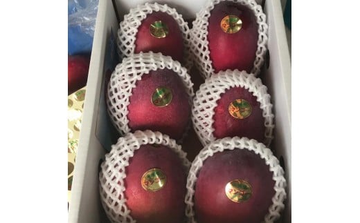 <先行予約・数量限定>宮平農園のマンゴー1.5kg(アーウィン)沖縄県南城市17000果物・フルーツマンゴー・パイナップル