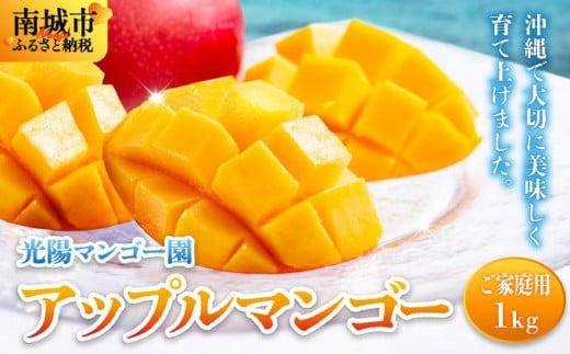 s\Eʌ聄Abv}S[ ƒpi1kgj|}S[  ƒp 󂠂 ꌧ s 1kg ① \ st Abv}S[  KM005ꌧs6000ʕEt[c}S