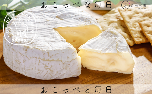カマンベールチーズ『SAYURI』2個セット北海道興部町13000卵・乳製品チーズ