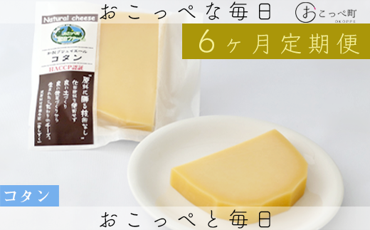 牧場から直送『コタン2個セット』6ヶ月定期便北海道興部町54000卵・乳製品チーズ