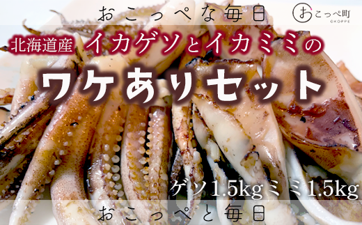 【ワケあり】わけあって!イカゲソとイカミミ北海道興部町13000魚介・海産物イカ・タコ・ウニ
