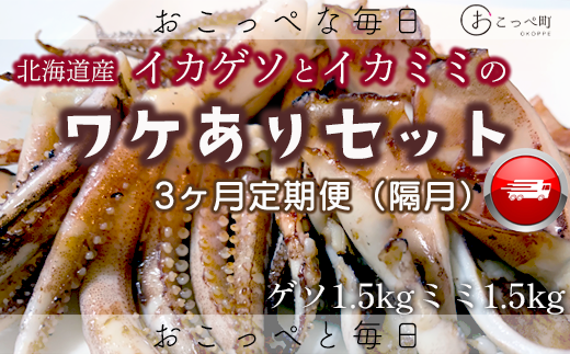 【ワケあり】わけあって!イカゲソとイカミミ 隔月 3ヶ月定期便北海道興部町39000魚介・海産物イカ・タコ・ウニ