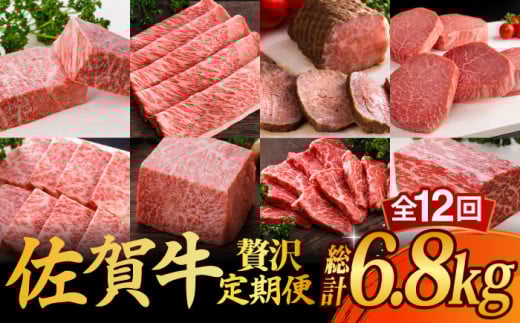 yS12z A5N ꋍ ~ Hה  2-3lO v6.8kg /ēǂ [UCC004] ō   Xe[L XCX [Xgr[t ēꌧYs500000