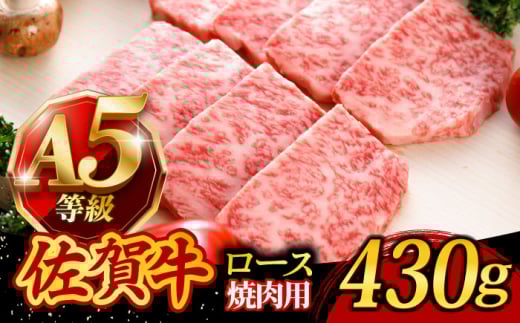 A5N ꋍ  ~ ēp [X 430g 2lO /ēǂ[UCC014]   BBQꌧYs26000