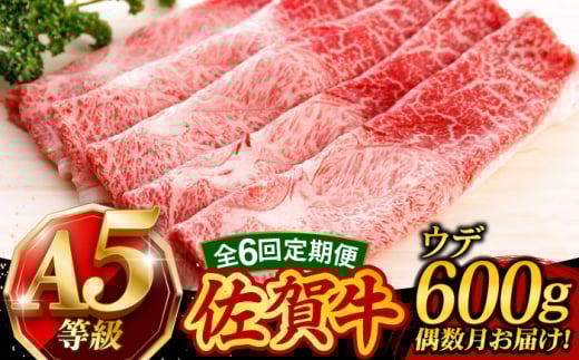 y6ցEɂ͂z ꋍ A5 Ă Ԃ 600g Ef /ēǂ [UCC017]   Ԑg  XCXꌧYs127000