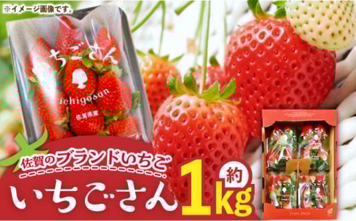 ys\z̃uh  1kgi250g×4pj/ʓX [UDK007]  C`S  ʕ t[cꌧYs17000ʕEt[c