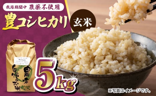 ͔|Ԓ_sgp ߘa6NY LRVqJ  5kg /߃mk_ [UDL015]     uhčꌧYs21000āEp