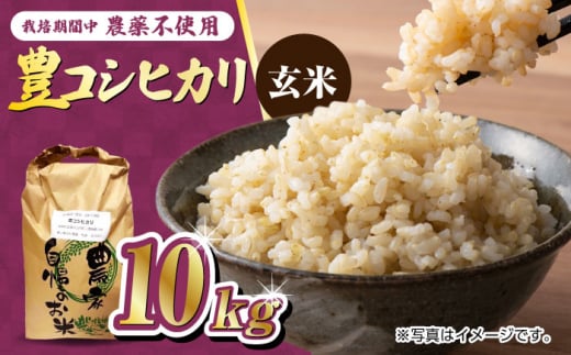 ͔|Ԓ_sgp ߘa6NY LRVqJ  10kg /߃mk_ [UDL016]     uhčꌧYs37000āEp