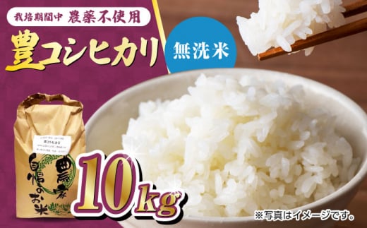 ͔|Ԓ_sgp ߘa6NY LRVqJ   10kg /߃mk_ [UDL019]       uhčꌧYs41000āEp