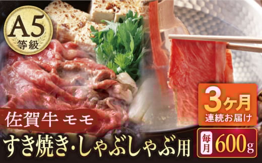 y2026N2Jnzy3ցzA5 ꋍ ĂEԂԗp  600gi300g×2pbNj/i`t[Y [UBH059]ꌧYs96000