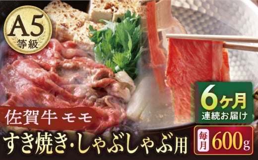 y6ցzA5 ꋍ ĂEԂԗp  600gi300g×2pbNj/i`t[Y [UBH060]ꌧYs192000