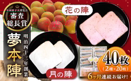 y6ցz{w 40i2×20j /b{ [UBQ019]ꌧYs75000َqEXC[c݁E