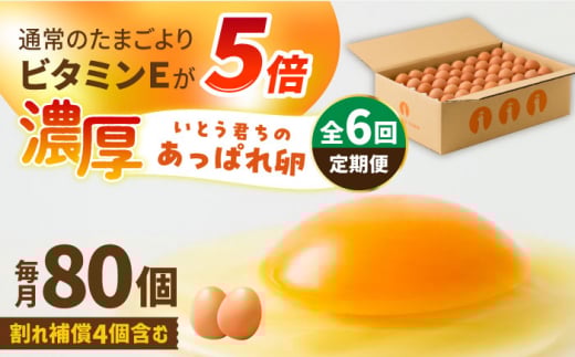 y6ցzƂN̂ςꗑ 80i76+⏞4j/Ƃ{{ [UAQ004]ꌧYs75000Eii{AG{j