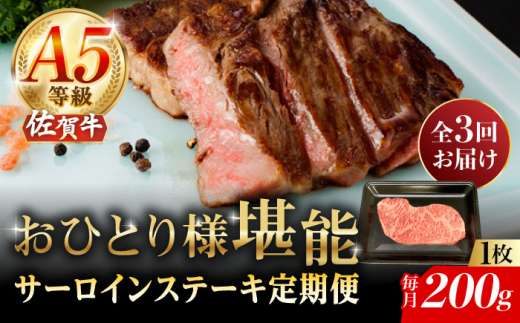 y2026N2Jnzy3ցzA5 ꋍ T[CXe[L 200gi200g×1j/i`t[Y [UBH098]ꌧYs72000