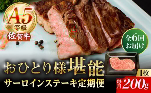 y6ցzA5 ꋍ T[CXe[L 200gi200g×1j/i`t[Y [UBH099]ꌧYs143000