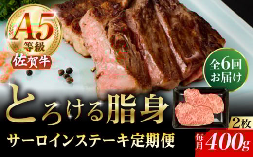 y6ցzA5 ꋍ T[CXe[L 400gi200g×2j/i`t[Y [UBH103]ꌧYs266000