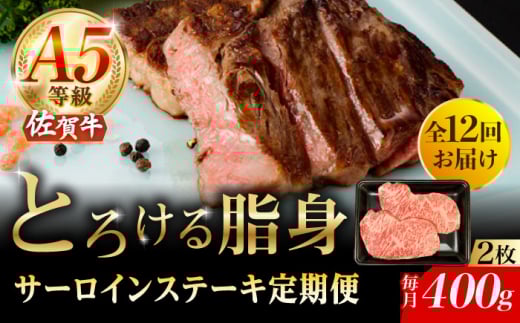 y12ցzA5 ꋍ T[CXe[L 400gi200g×2j/i`t[Y [UBH104]ꌧYs531000