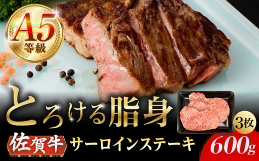 A5 ꋍ T[CXe[L 600gi200g×3j/i`t[Y [UBH105]ꌧYs66000