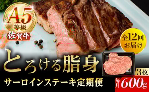 y12ցzA5 ꋍ T[CXe[L 600gi200g×3j/i`t[Y [UBH108]ꌧYs790000