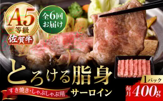 y6ցzA5 ꋍ T[CXCX 400gi400g×1pbNj/i`t[Y [UBH111]ꌧYs222000