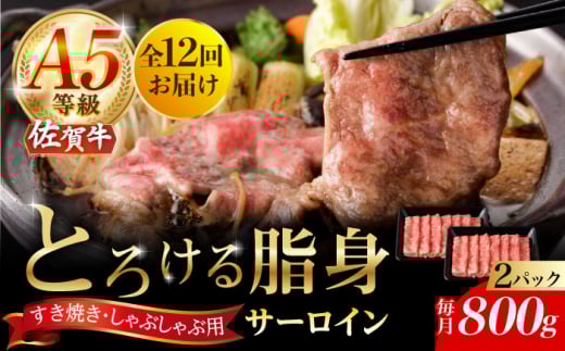 y2026N2Jnzy12ցzA5 ꋍ T[CXCX 800gi400g×2pbNj/i`t[Y [UBH116]ꌧYs876000