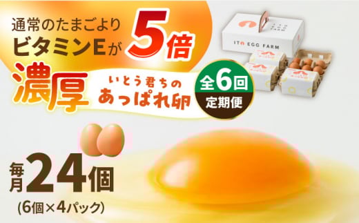 y6ցzƂN̂ςꗑ 24i6×4pbNjMtgBOX /Ƃ{{ [UAQ010]ꌧYs45000Eii{AG{j