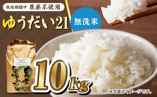 yV s\z͔|Ԓ_sgp ߘa7NY ꌧY䂤21āiāj10kg?/߃mk_ [UDL028]ꌧYs80000āEp
