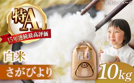 y2025N12zߘa7NY т 10kg zO /]_ [UBF004]     uhčꌧYs29000āEp