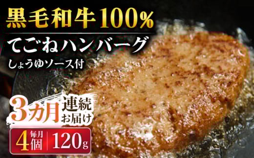 y3ցzјa100 育˃no[O 120g×4 傤\[Xt?/t`Lb` v~G [UCF012]ꌧYs40000ZbgE؁EHHi