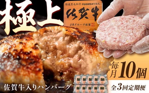 y3ցzꋍ萶no[O 150g×10i^Ej /MK~[gY [UEM003] ꋍ no[O  Ⓚ ͂΁[ y   ꌧYs36000Hin