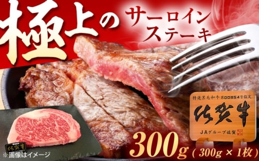 ꋍ T[CXe[L 300gi300g×1j /MK~[gY [UEM016] T[C Xe[L [낢 ā[ Xe[L ā[  Y uh aꌧYs12000