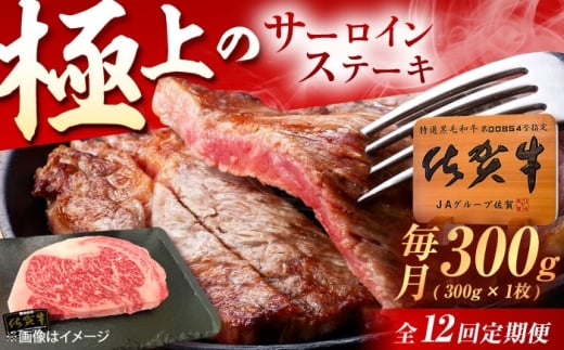 y12ցzꋍ T[CXe[L 300gi300g×1j /MK~[gY [UEM019] T[C Xe[L [낢 ā[ Xe[L ā[  Y uh aꌧYs144000