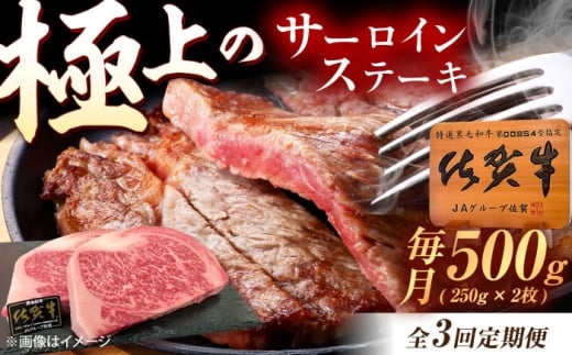 y3ցzꋍ T[CXe[L 500gi250g×2j /MK~[gY [UEM021] T[C Xe[L [낢 ā[ Xe[L ā[  Y uh aꌧYs60000