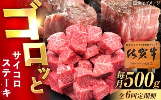 y6ցzꋍ TCRXe[L 500g /MK~[gY [UEM026]ꌧYs72000