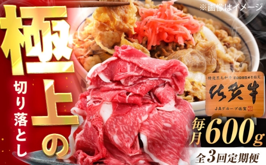 y3ցzꋍ ؂藎Ƃ 600g /MK~[gY [UEM031]ꌧYs36000