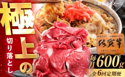 y6ցzꋍ ؂藎Ƃ 600g /MK~[gY [UEM032]ꌧYs72000