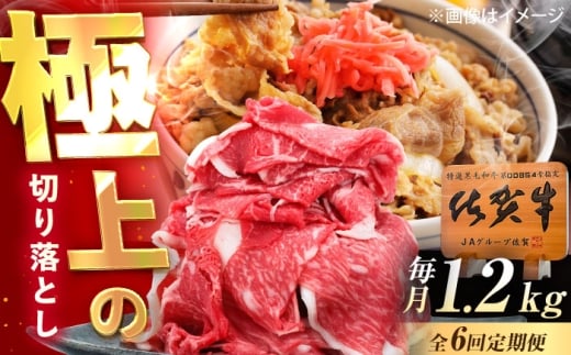 y6ցzꋍ ؂藎Ƃ 1.2kgi600g×2pj /MK~[gY [UEM036]ꌧYs120000