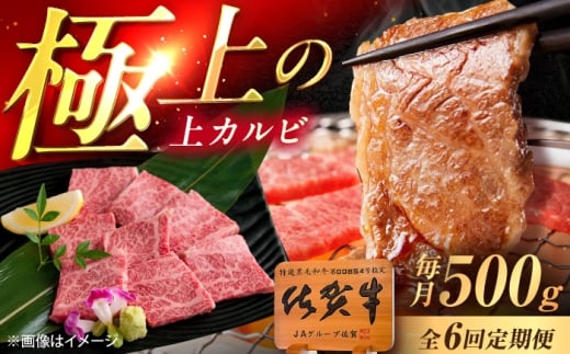 y6ցzꋍ Jr ēp 500g /MK~[gY [UEM051]ꌧYs136000