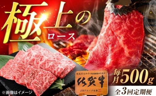 y3ցzꋍ [X ēp 500g /MK~[gY [UEM055]ꌧYs73000