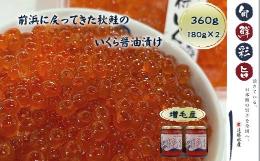 7-017-003 いくら醤油漬け 360g(180g×2本)北海道増毛町17000魚介・海産物いくら