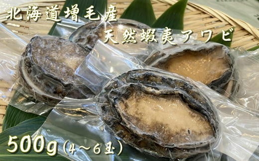 7-024-003 北海道増毛産天然蝦夷あわび500g(4〜6玉)【道内冷蔵発送限定】北海道増毛町24000魚介・海産物貝類