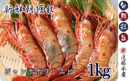 7-040-004 冷凍ジャンボボタンエビ 1kg(500g×2)北海道増毛町40000魚介・海産物エビ