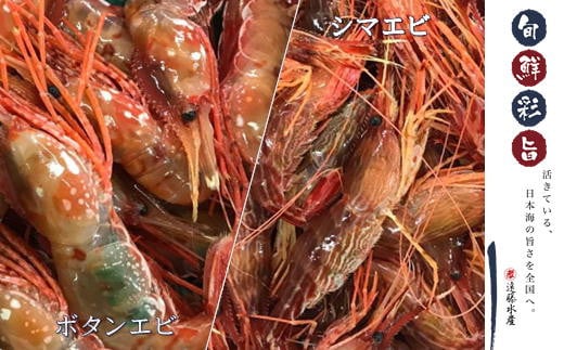 7-018-006 ボタンエビ・しまえびセット 各500g北海道増毛町18000魚介・海産物エビ