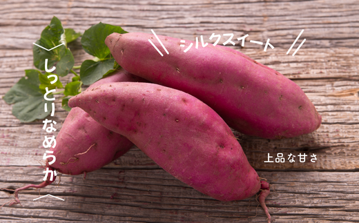 7-010-026 さつまいも(シルクスイート)5kg【マルゼン佐藤果樹園】北海道増毛町10000野菜・きのこじゃがいも・イモ類