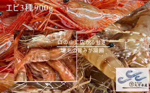 7-022-011 えび3種セット(甘えび・ボタンエビ・シマエビ)北海道増毛町22000魚介・海産物エビ