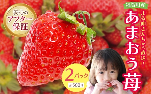 W21-01 \ R_@AMbg_Ɓu܂䕁v(2pbN)  2026N1{菇 ܂  C`S    fU[g ʕ  t[cq12000
