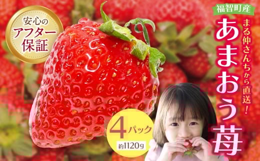 W21-02 ≪予約≫自然農法アルギット農業「あまおう苺」(4パック) いちご ※2026年1月上旬より順次発送 あまおう いちご イチゴ 苺 福岡 高級 デザート 果物 くだもの フルーツ ★レビューキャ