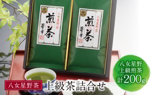 W26-08  ㋉l(v200g) r[Ly[JÁq12500E