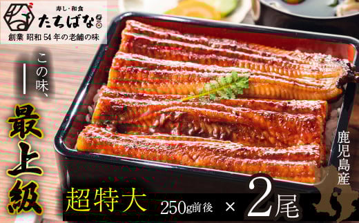 W02-20 国産うなぎ使用! 老舗たちばな 国産うなぎ蒲焼  (合計 250g前後) 2尾 鰻 うなぎ 南九州産うなぎ 鰻 ウナギ 国産鰻 人気 おすすめ たれ 蒲焼 蒲焼き 特大 鰻 かばやき 冷凍 鰻 うな重 ひつ